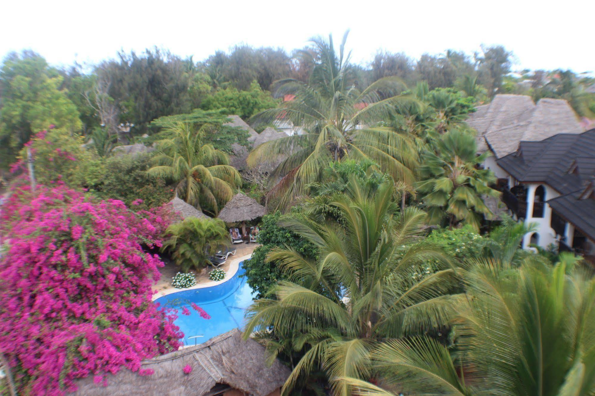 Langi Langi Beach Bungalows Nungwi Ngoại thất bức ảnh